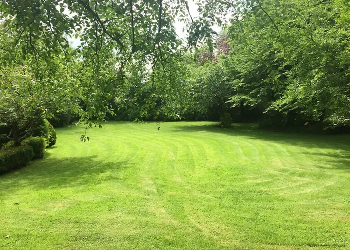 Tudor Guest 번래티