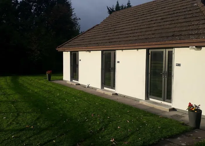 Tudor Guest 번래티